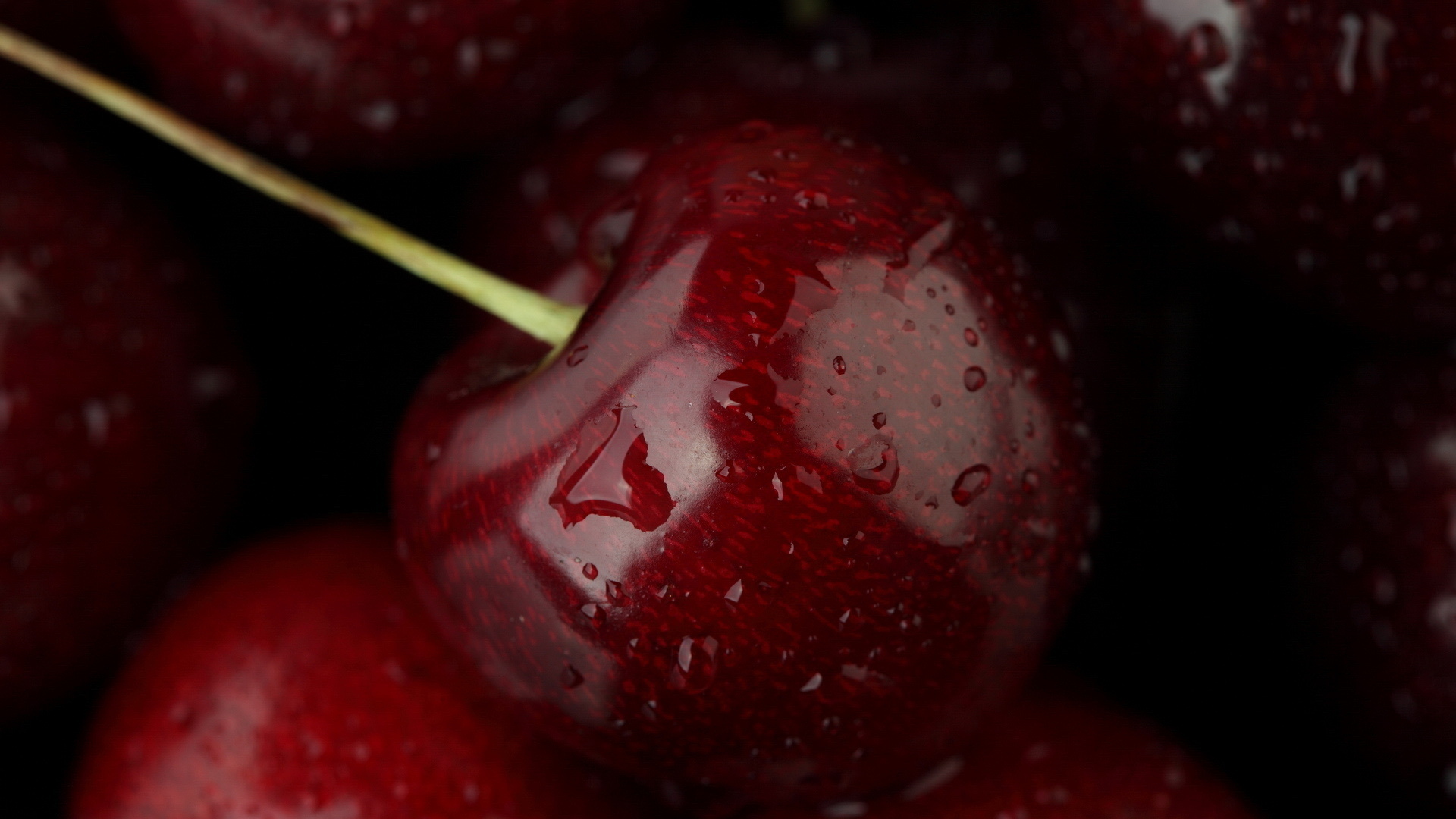 , , , fruit, , cherry, , , food, macro