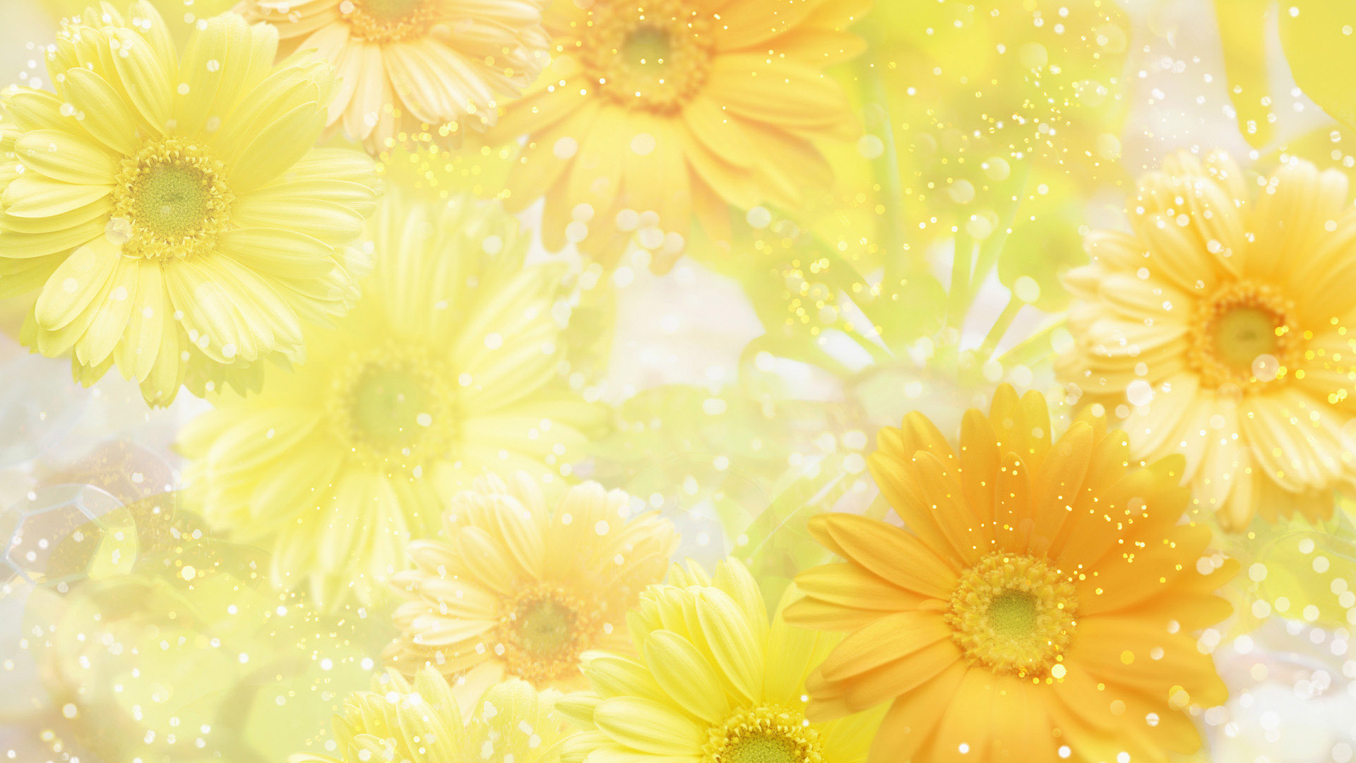 yellow, , , , flowers