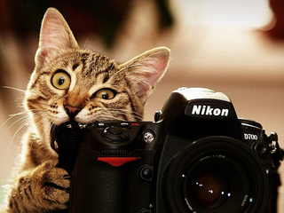 , nikon, , 