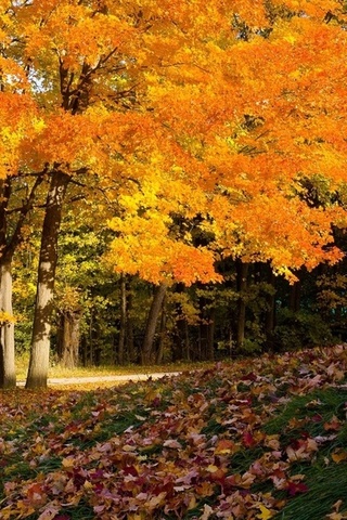 autumn colors, , , ,  