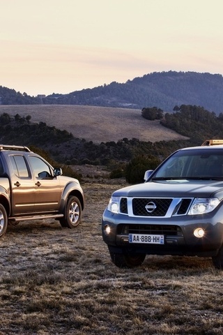 , , navara, 2010, , , Nissan, , pathfinder