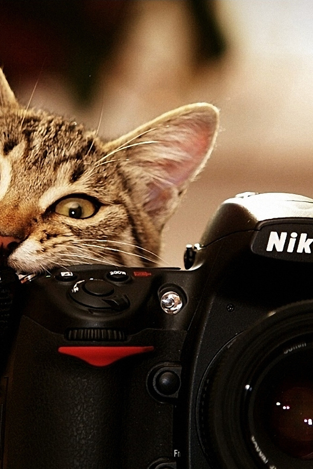 , nikon, , 