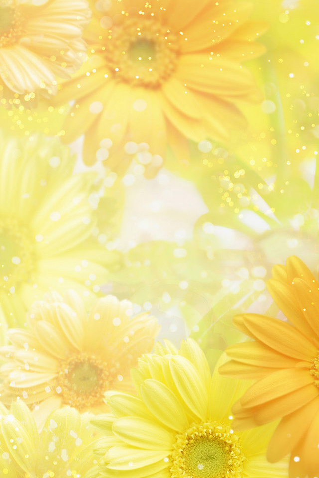 yellow, , , , flowers