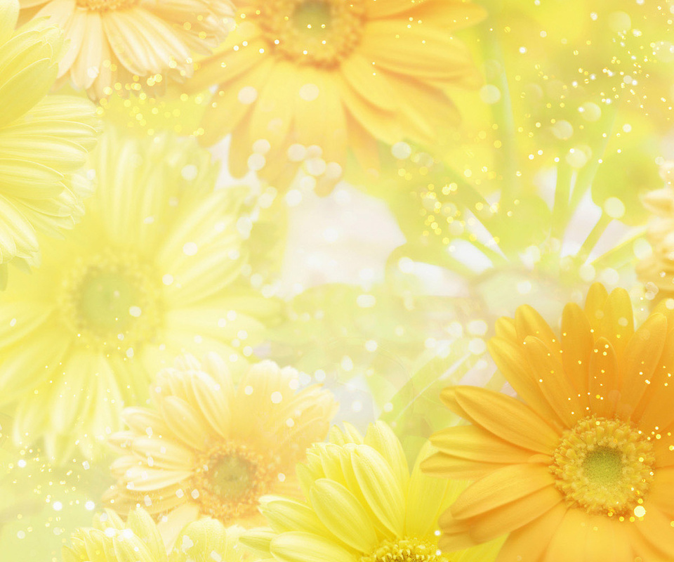 yellow, , , , flowers