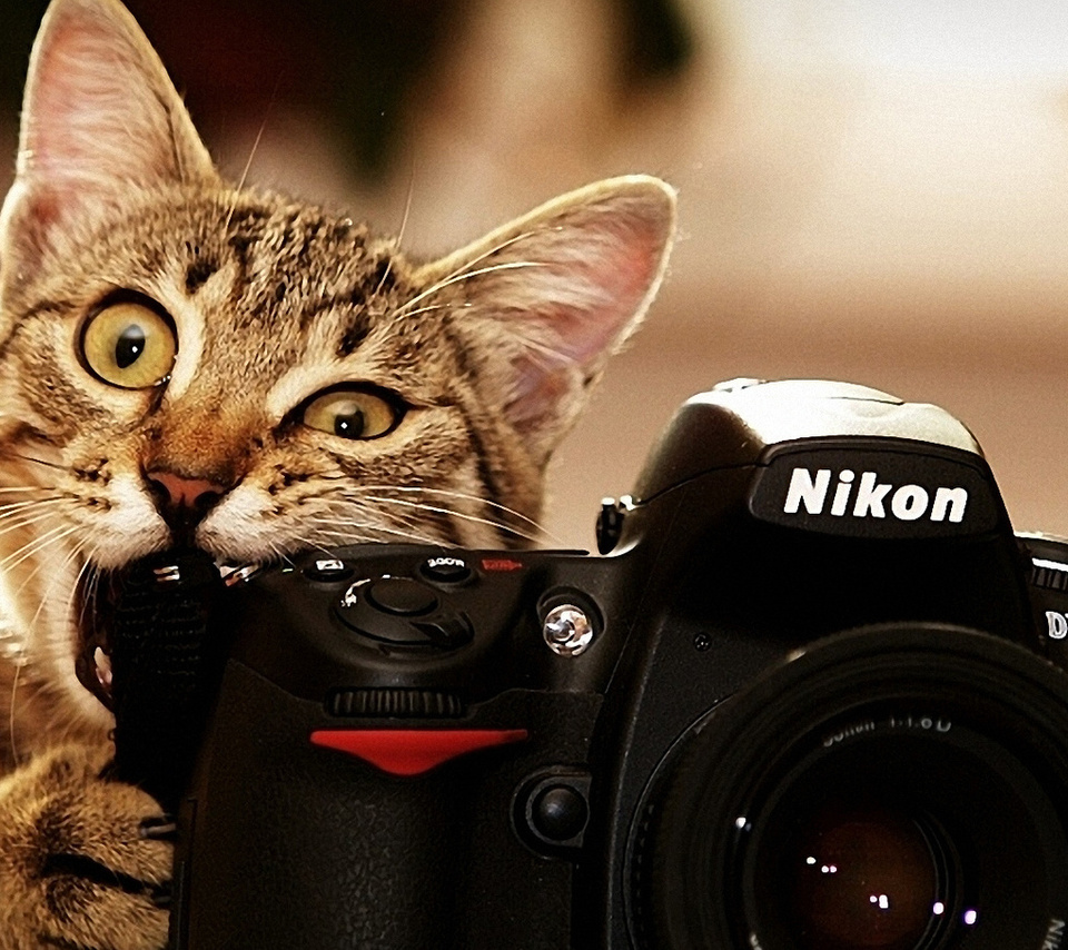 , nikon, , 