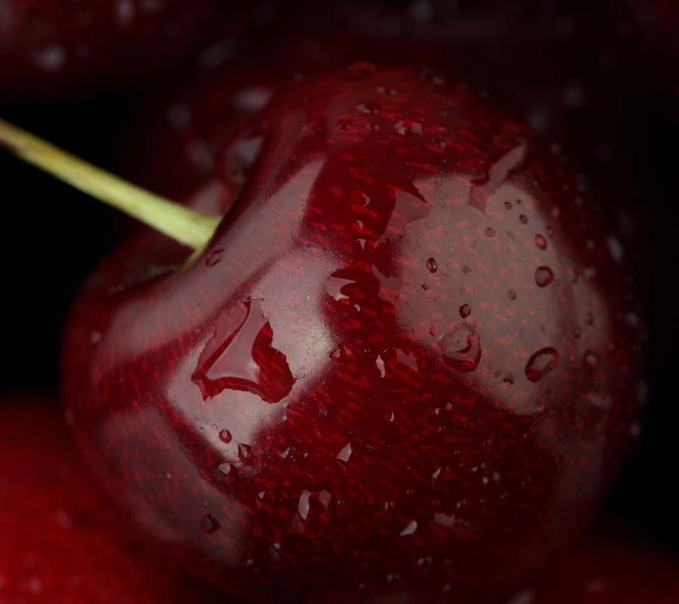 , , , fruit, , cherry, , , food, macro