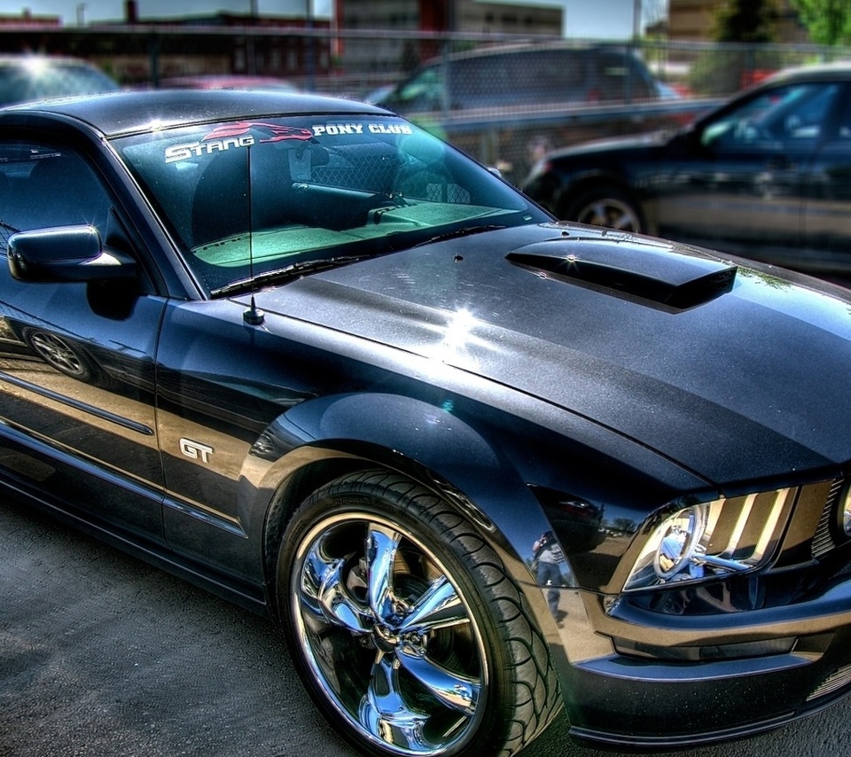 tuning, avto, mustang, Ford, , , shelby, , , gt500