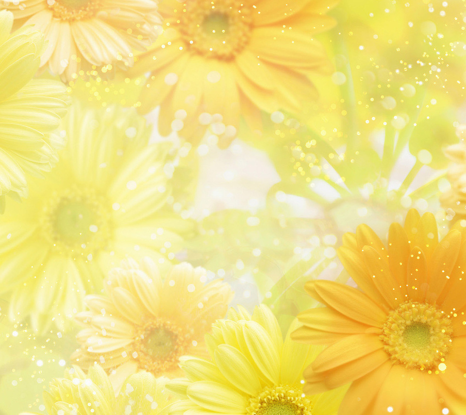 yellow, , , , flowers