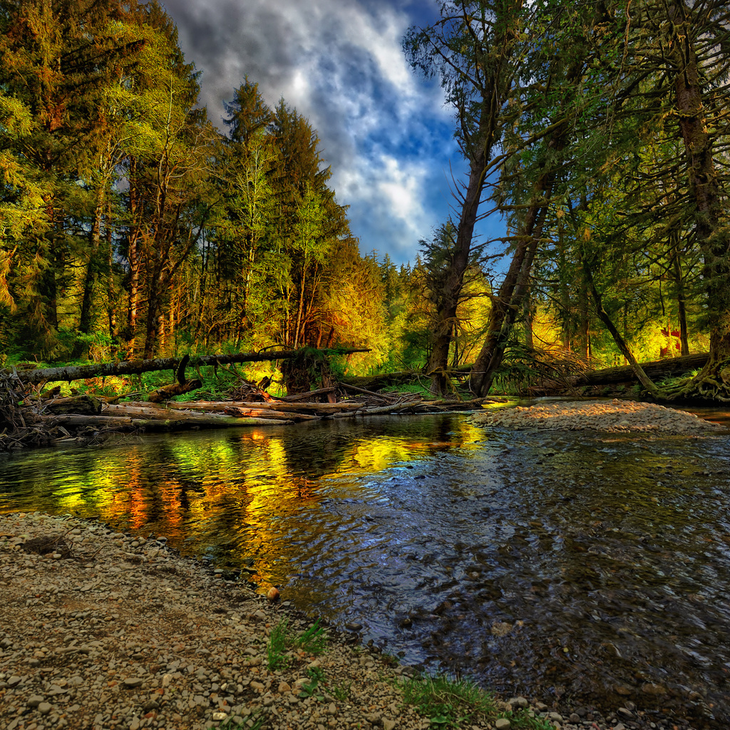 beautiful, river, forest, nice, cool, , autumn, , Nature, landscape