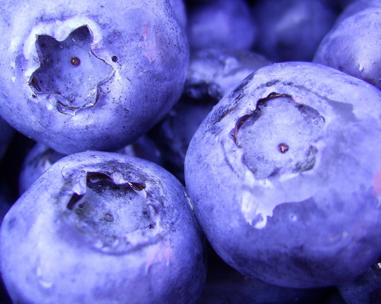 1920x1080, , blueberry, macro, , , berries, , food