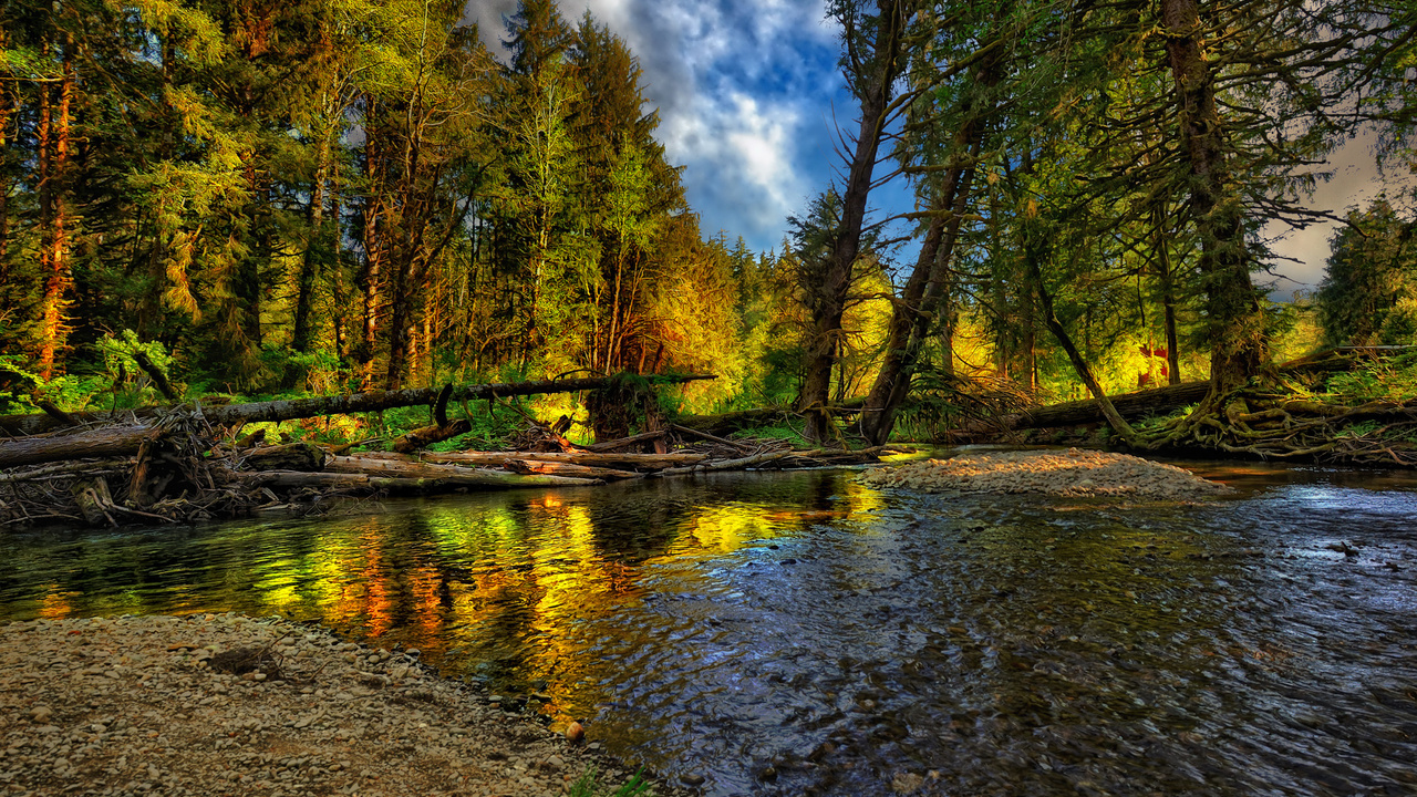 beautiful, river, forest, nice, cool, , autumn, , Nature, landscape