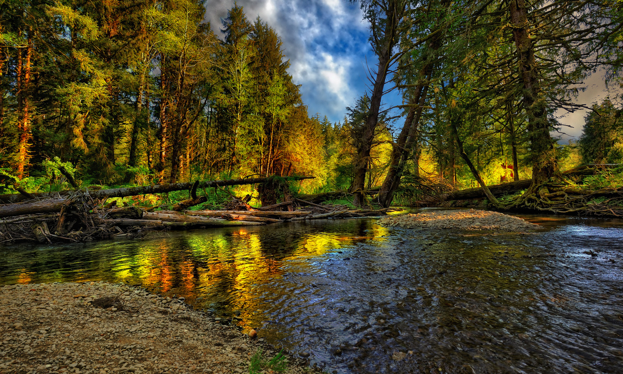 beautiful, river, forest, nice, cool, , autumn, , Nature, landscape