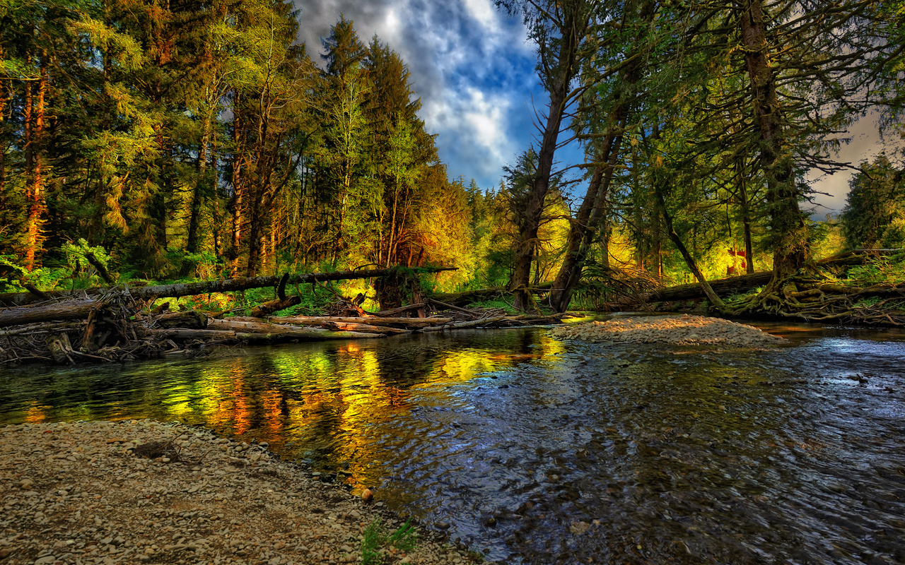 beautiful, river, forest, nice, cool, , autumn, , Nature, landscape