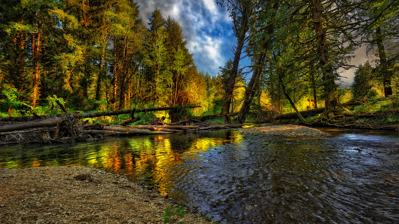 beautiful, river, forest, nice, cool, , autumn, , Nature, landscape