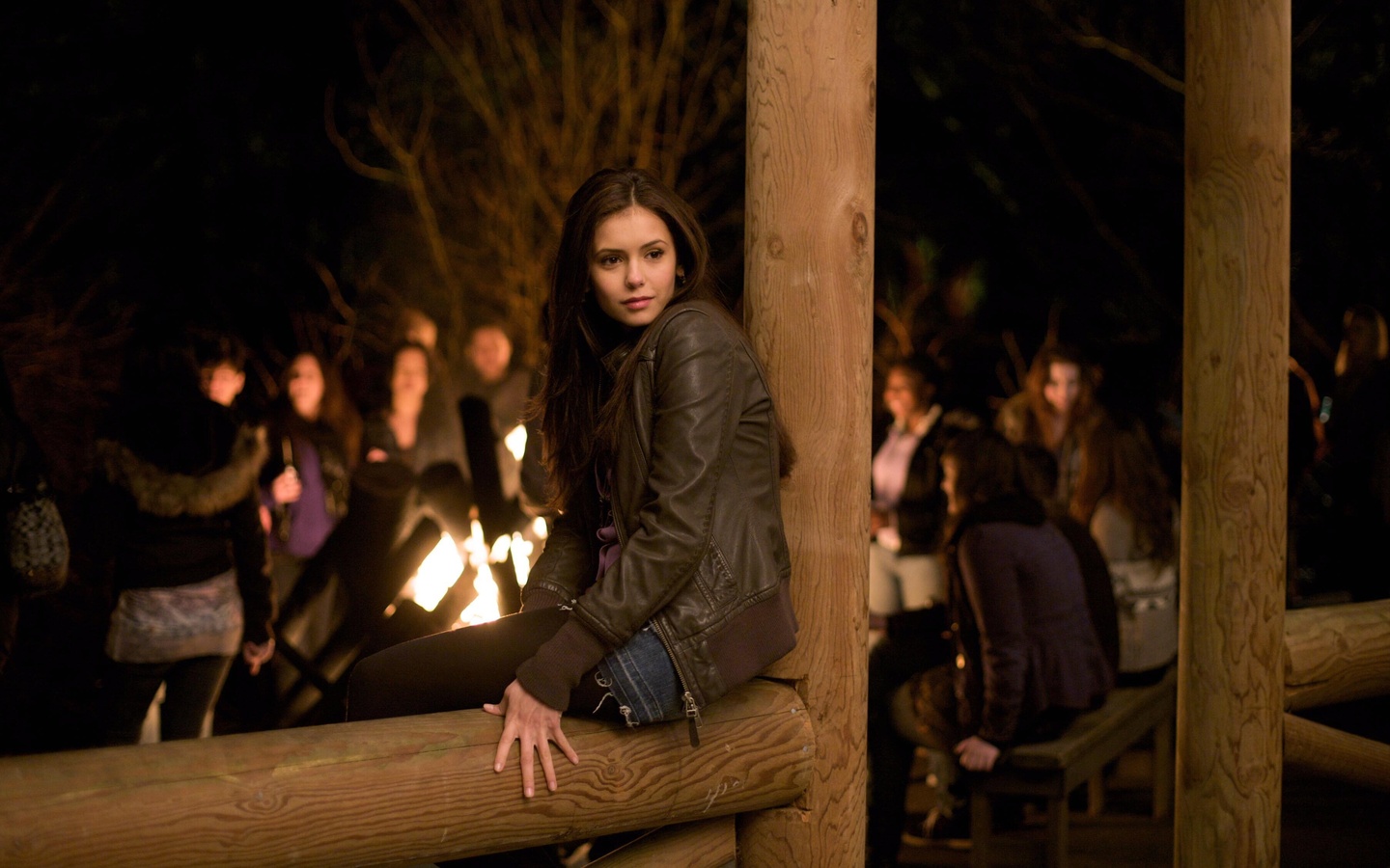  , Nina dobrev,  , the vampire diaries