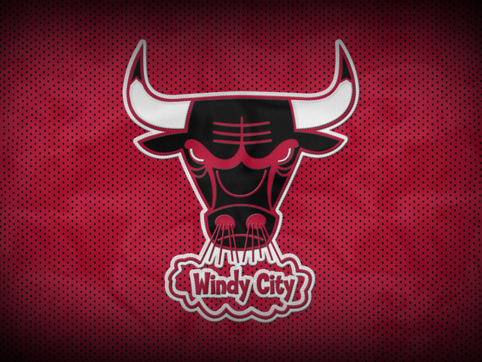 chicago bulls,  , nba, , 