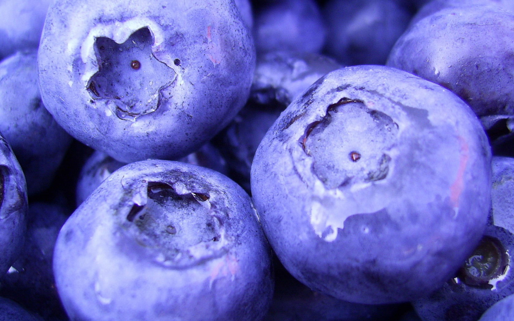 1920x1080, , blueberry, macro, , , berries, , food