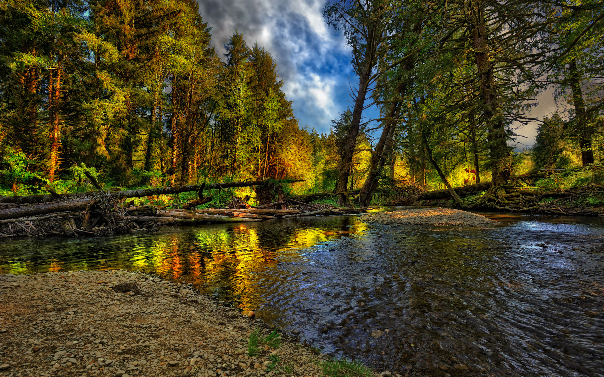 beautiful, river, forest, nice, cool, , autumn, , Nature, landscape