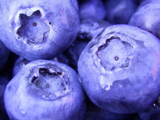 1920x1080, , blueberry, macro, , , berries, , food