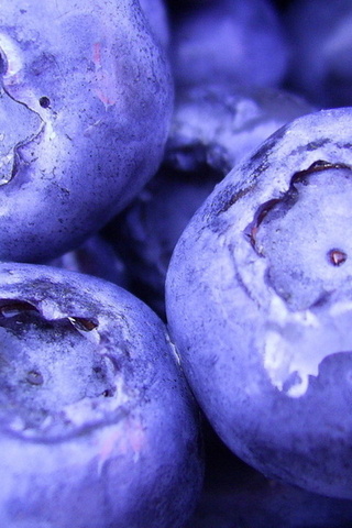 1920x1080, , blueberry, macro, , , berries, , food