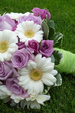 lovely, beautiful, gerberas, cool, elegantly, wedding, roses, Flower, nice, bouquet, rose, flowers