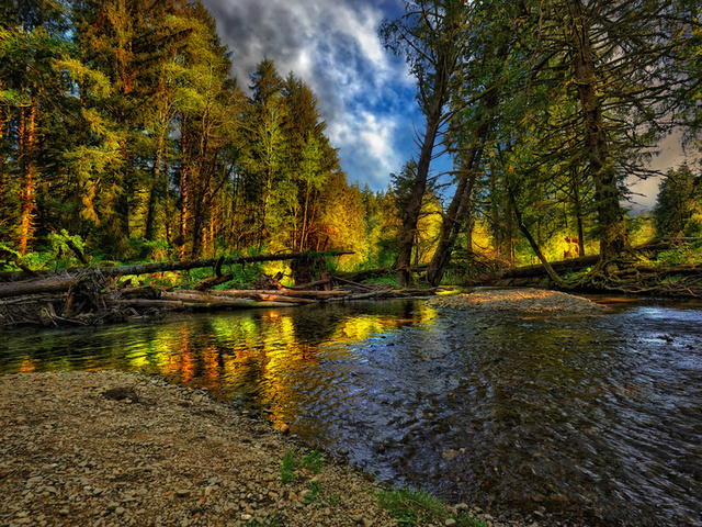 beautiful, river, forest, nice, cool, , autumn, , Nature, landscape