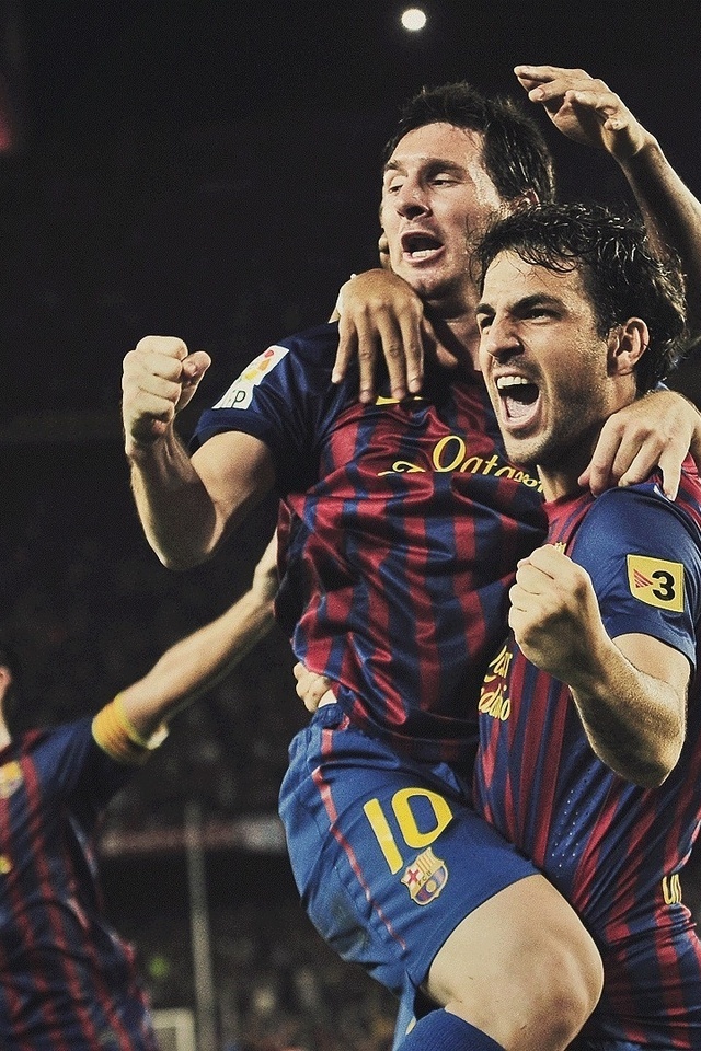 camp nou, , soccer, fabregas, xavi, messi, Fc barcelona, football