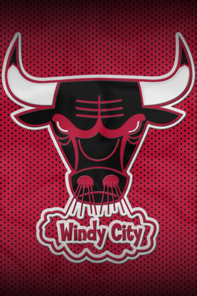 chicago bulls,  , nba, , 