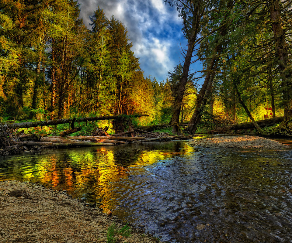 beautiful, river, forest, nice, cool, , autumn, , Nature, landscape