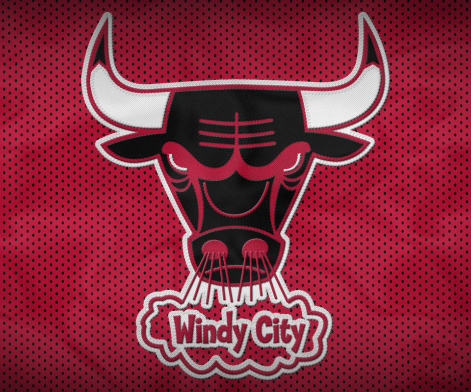 chicago bulls,  , nba, , 