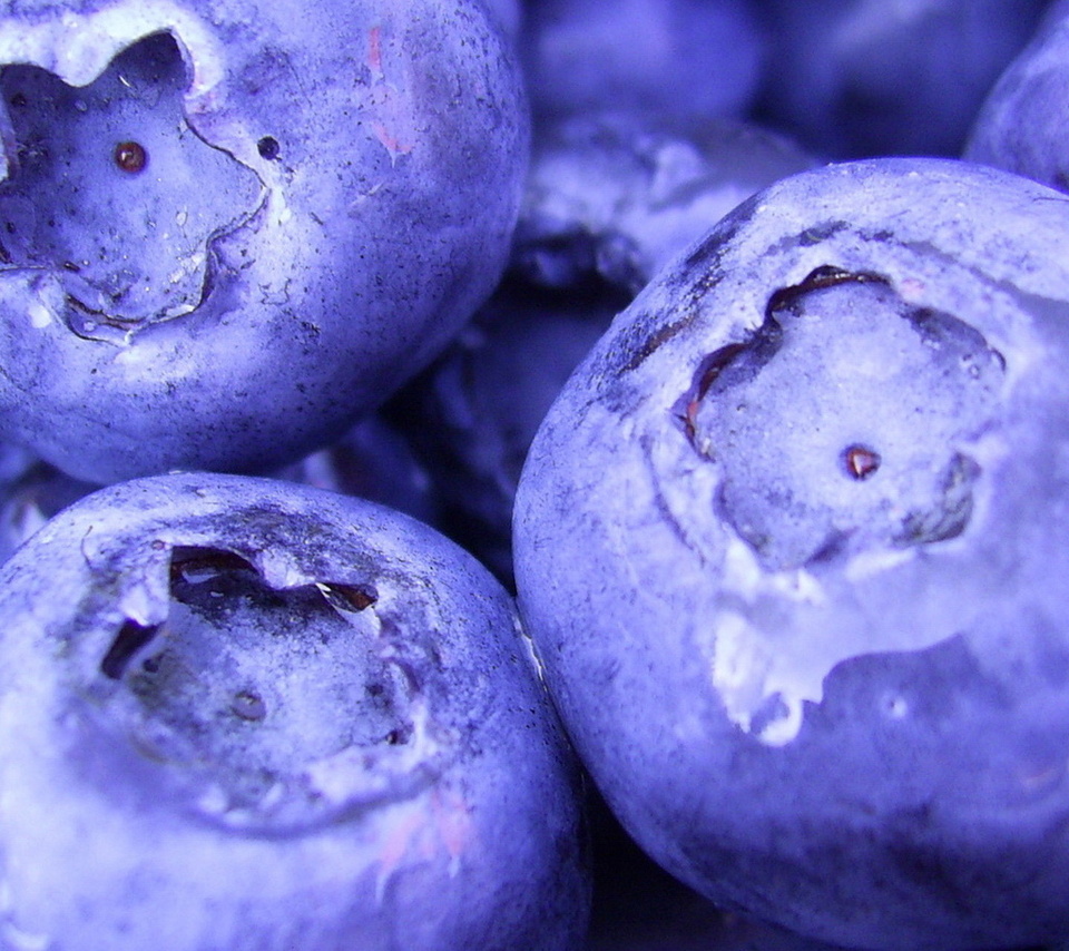 1920x1080, , blueberry, macro, , , berries, , food