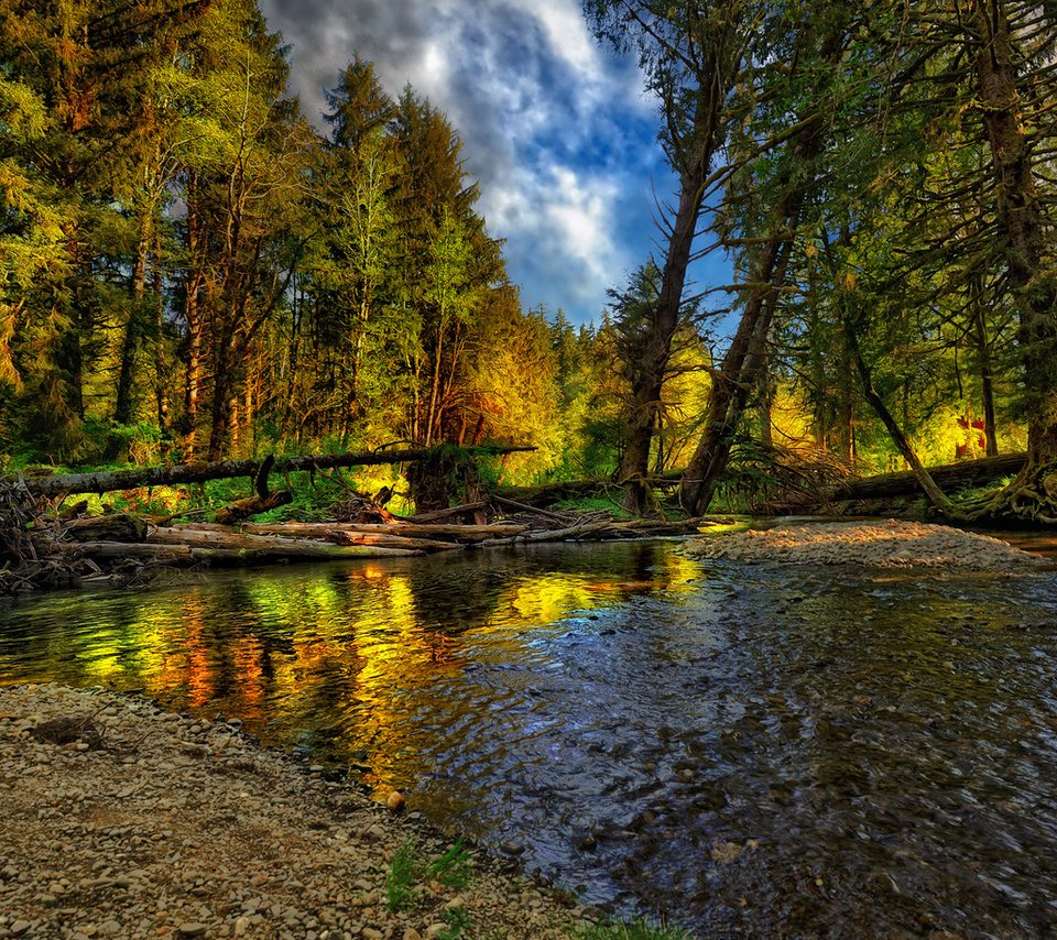 beautiful, river, forest, nice, cool, , autumn, , Nature, landscape