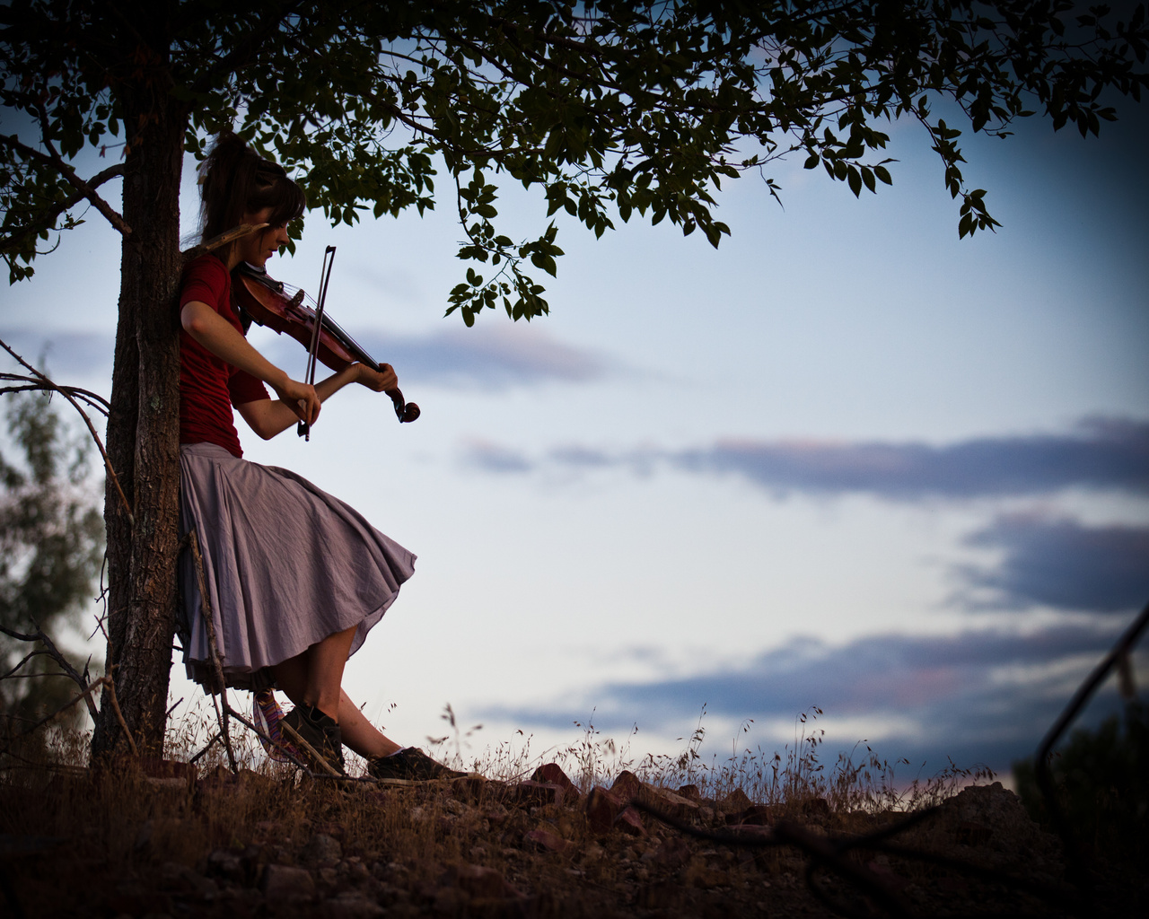 violin, lindsey stirling,  