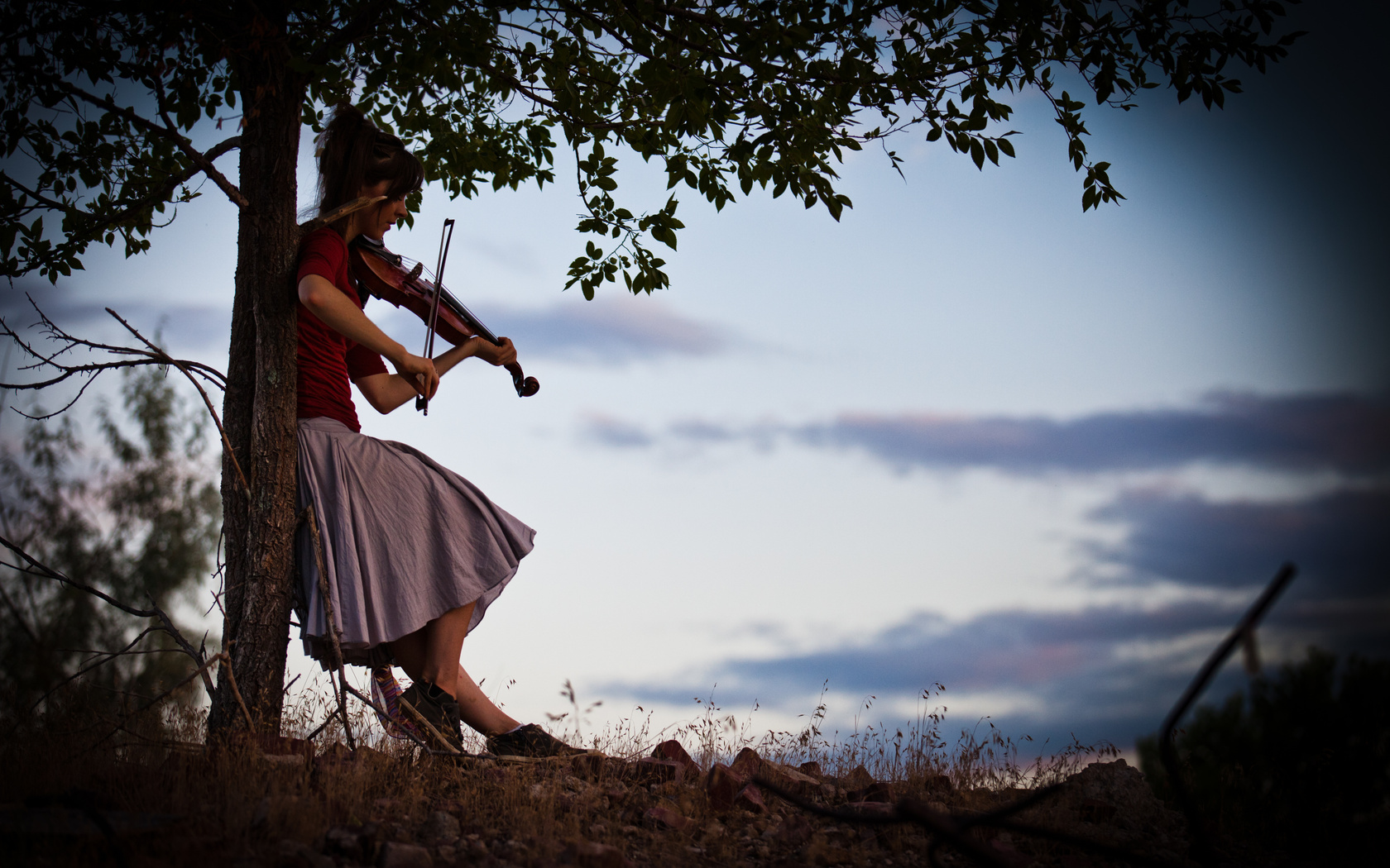 violin, lindsey stirling,  