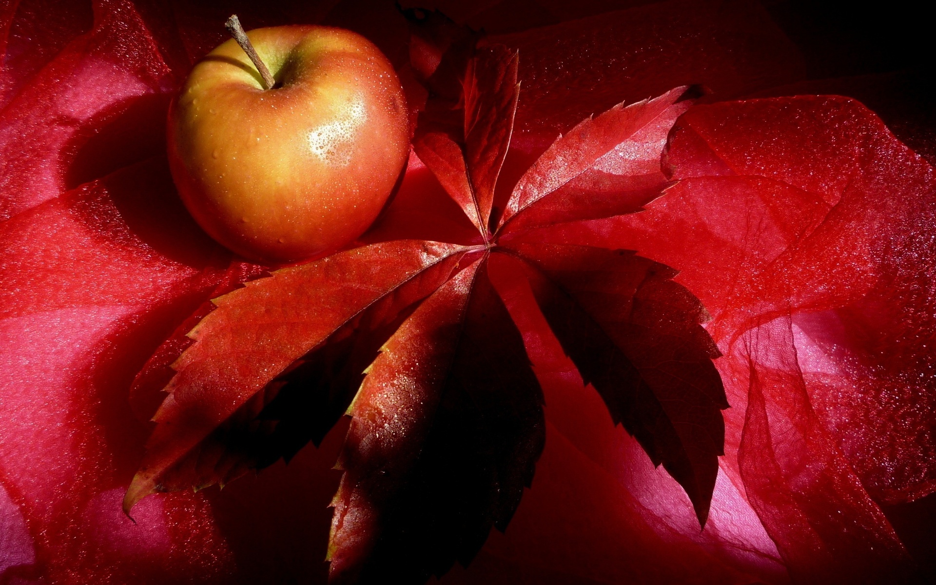 , , , , , apple, red