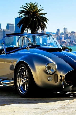 cars, cobra, supercars, cobra, wallpapers auto, ac, roadster, auto