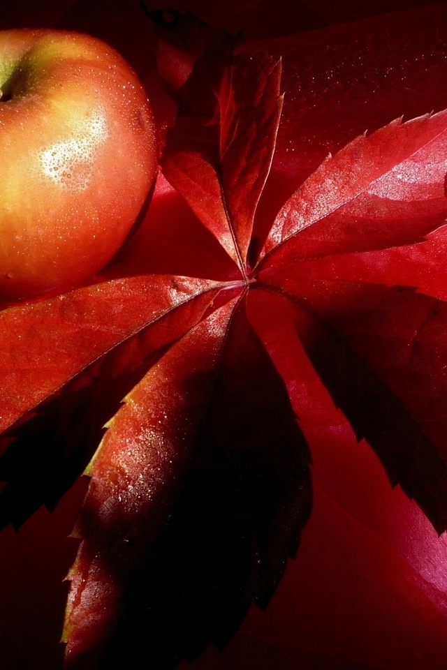 , , , , , apple, red