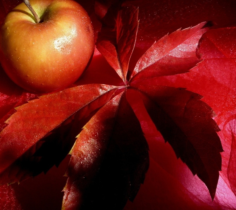 , , , , , apple, red