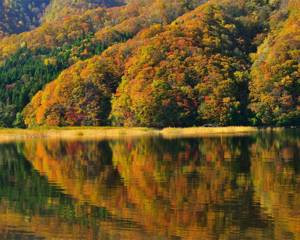 , japan, fukushima, lake akimoto, autumn