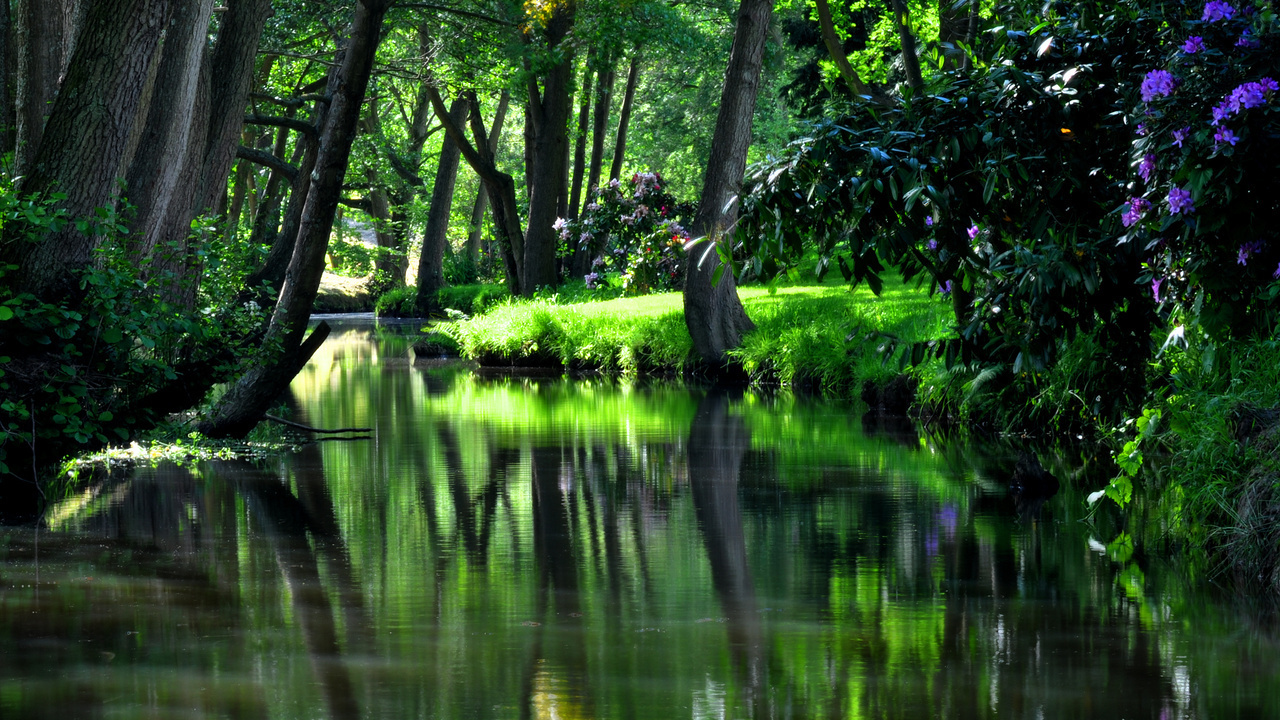 park, green, tree, grass, hdr, nature, reflection, trees, water