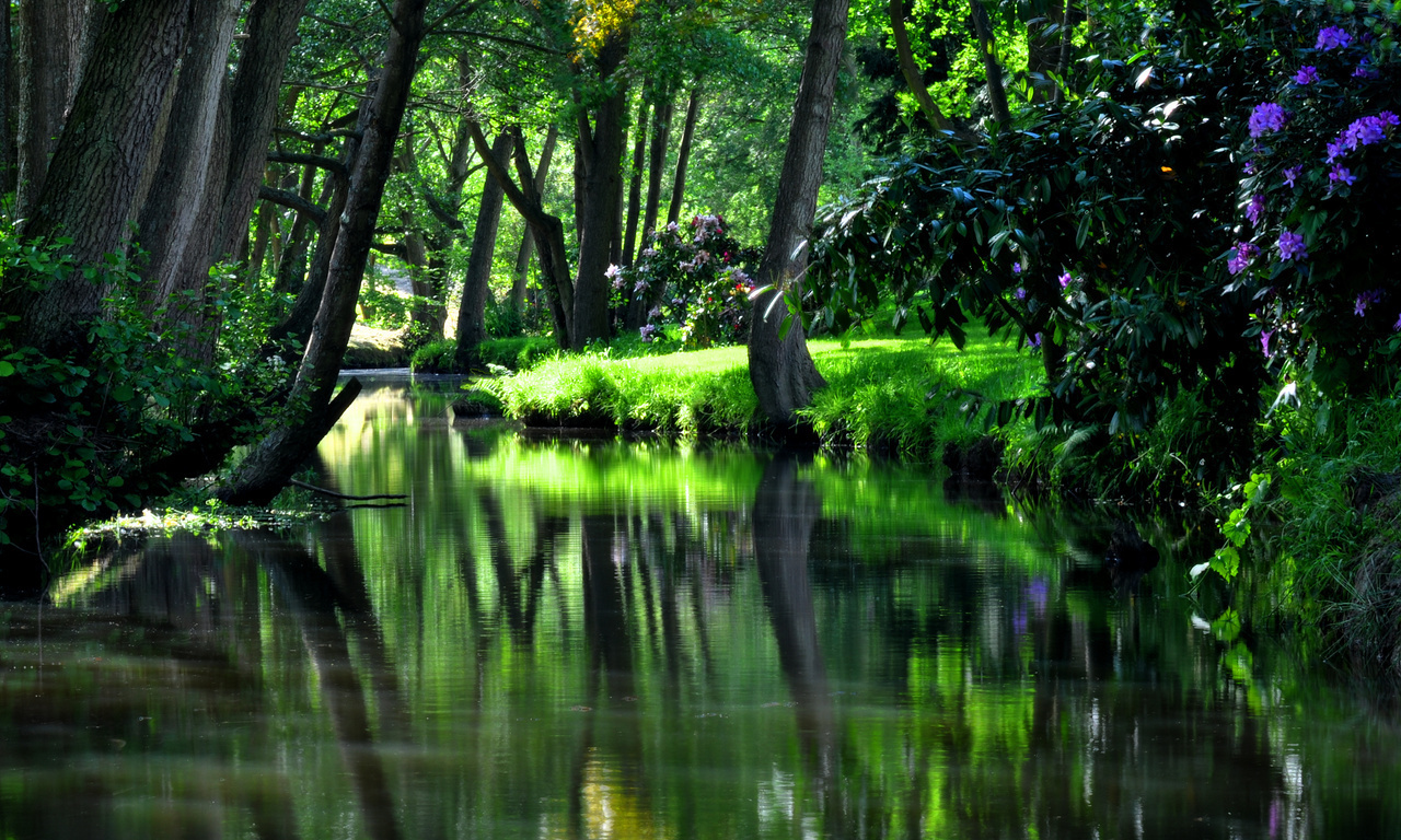 park, green, tree, grass, hdr, nature, reflection, trees, water