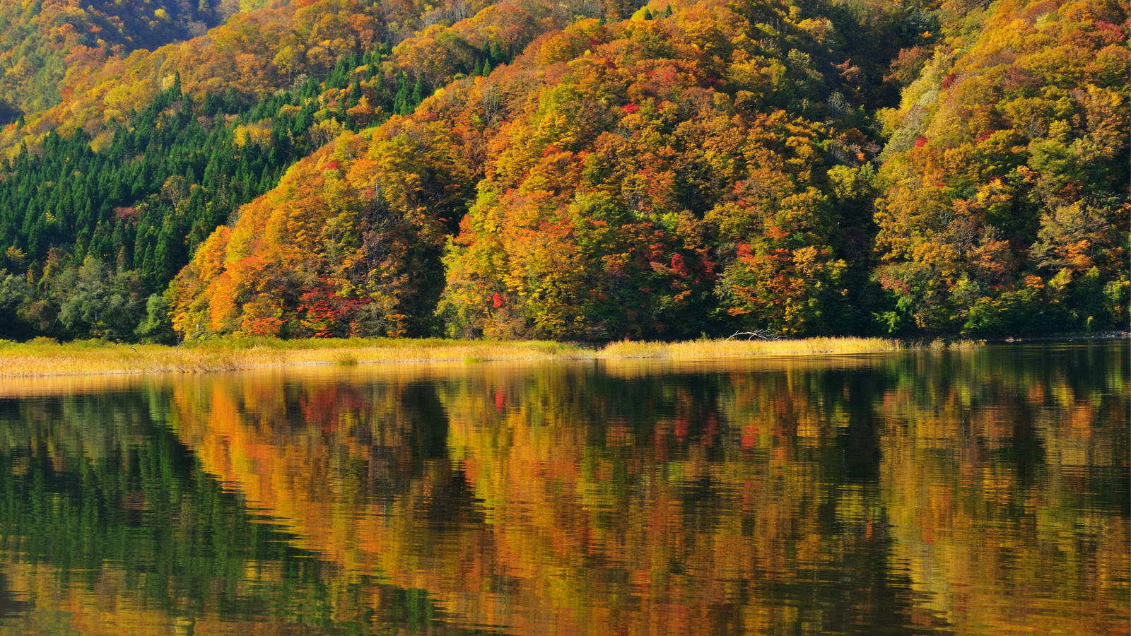 , japan, fukushima, lake akimoto, autumn