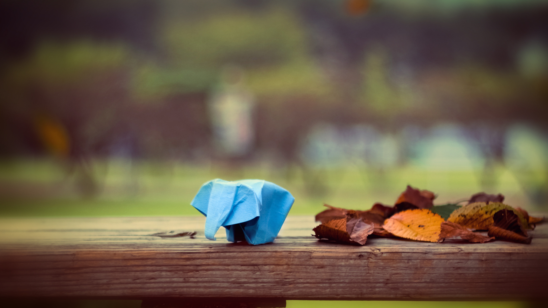 , , origami, , , elephant, paper, leaves, 