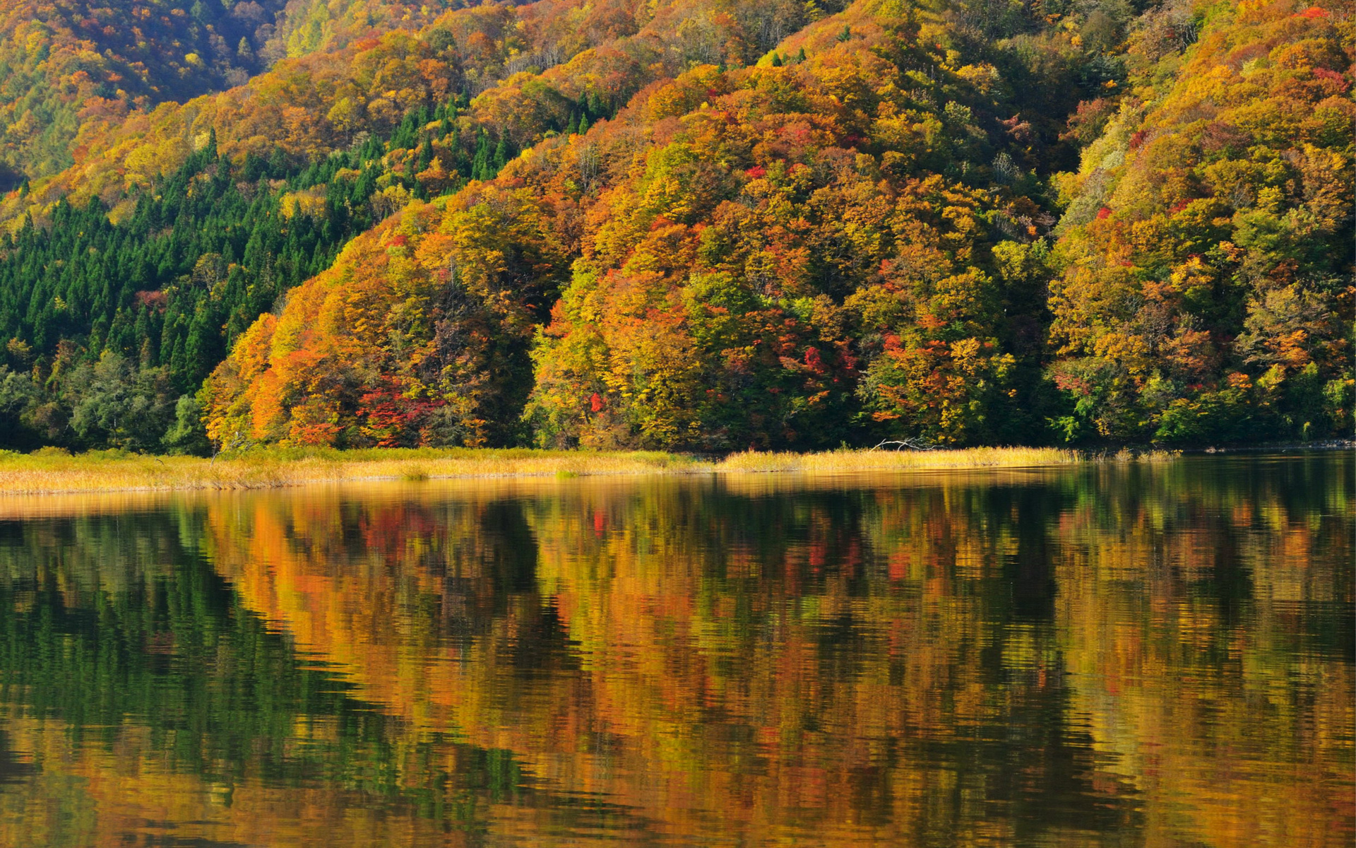 , japan, fukushima, lake akimoto, autumn