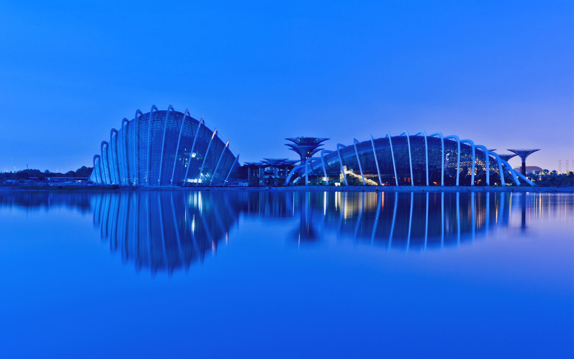 singapore, evening, reflection, gardens by the bay, malaysia