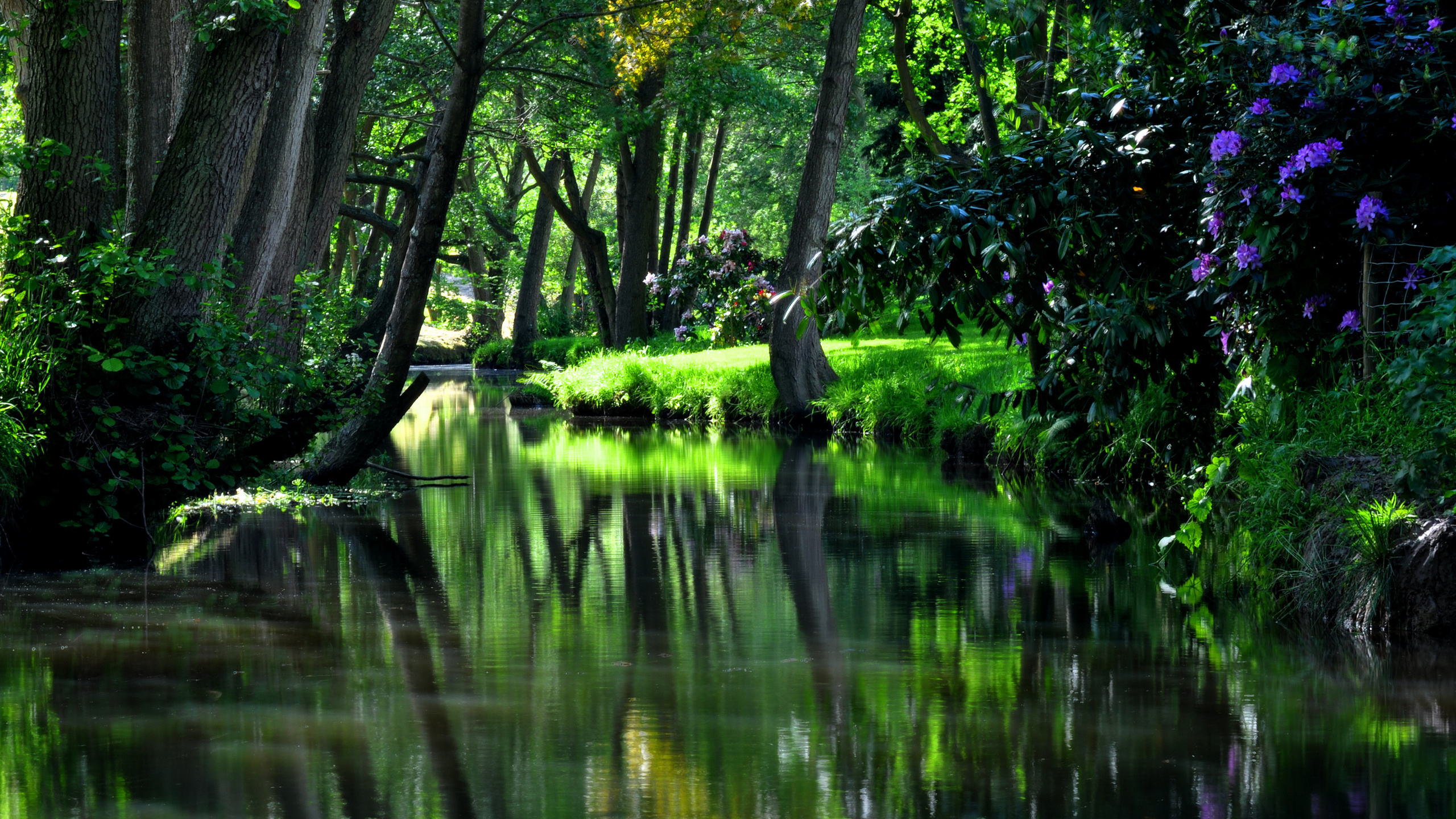 park, green, tree, grass, hdr, nature, reflection, trees, water