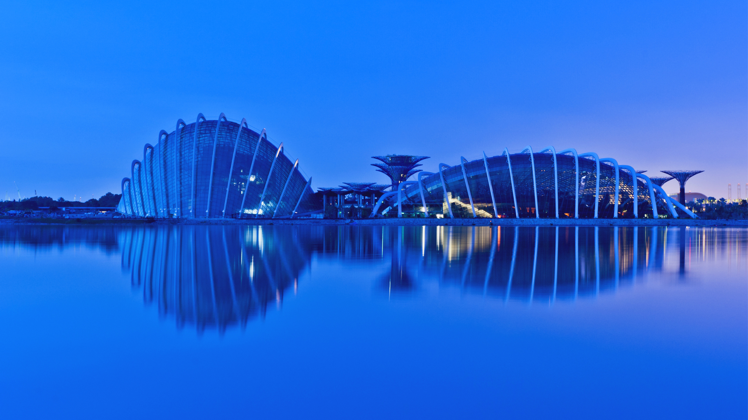 singapore, evening, reflection, gardens by the bay, malaysia