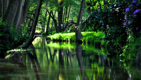 park, green, tree, grass, hdr, nature, reflection, trees, water