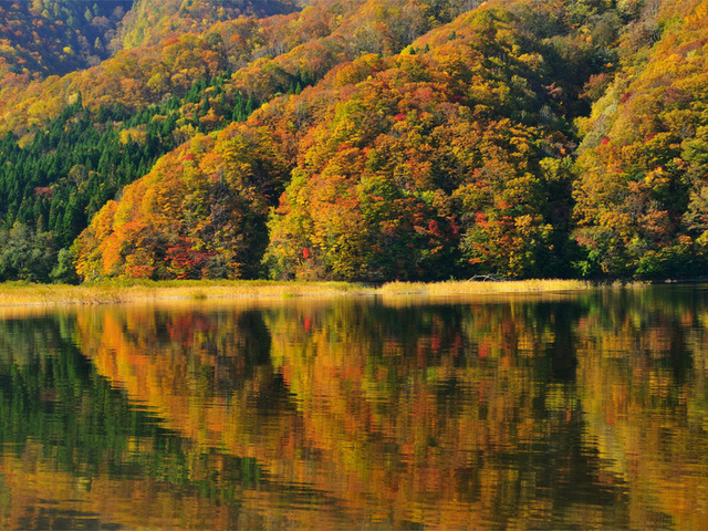 , japan, fukushima, lake akimoto, autumn