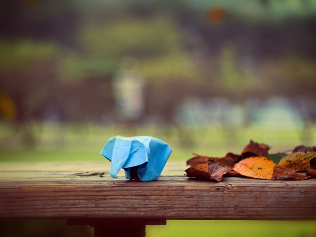 , , origami, , , elephant, paper, leaves, 